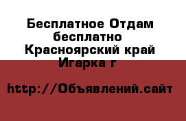 Бесплатное Отдам бесплатно. Красноярский край,Игарка г.